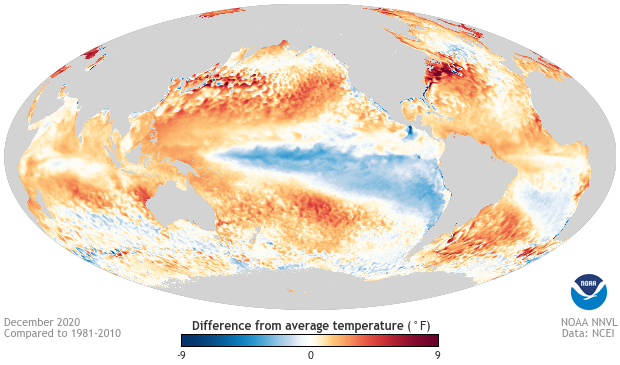 Sea surface temperature map