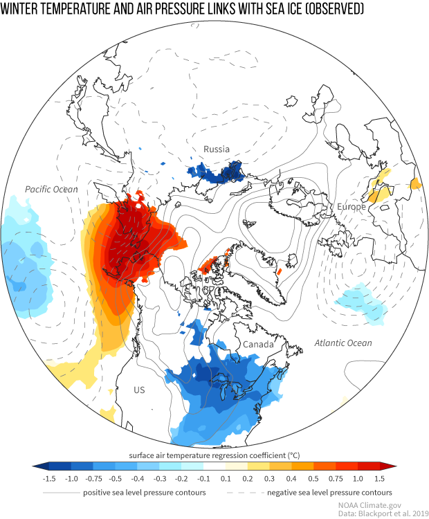 Surface temperature and sea level pressure anomalies