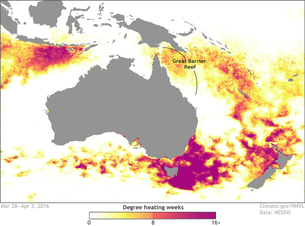 Accumulated heat stress map