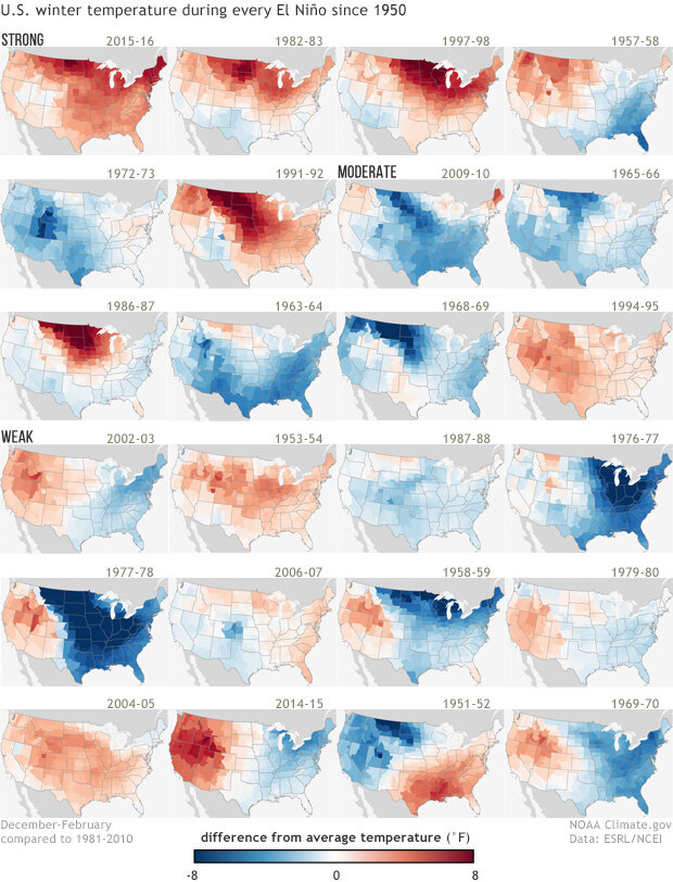 ENSO winters during El Nino since 1950