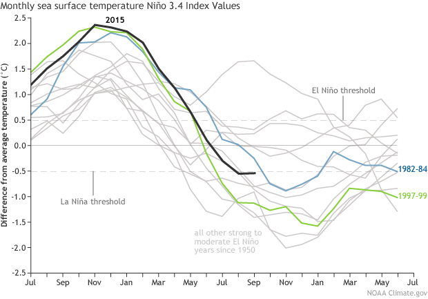 Line graph showing how ocean temperatures in the Nino3.4 region compared for all moderate to strong El Nino years since 1950. The black line for 2015-2016 shows that this event was similar to past events in its progression.