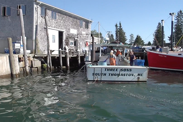 lobster boat at a wharf