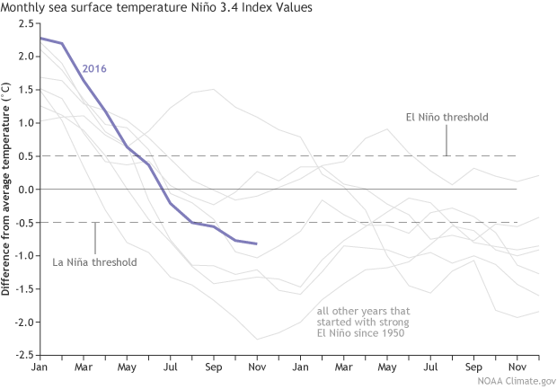 Monthly sea surface temperatures