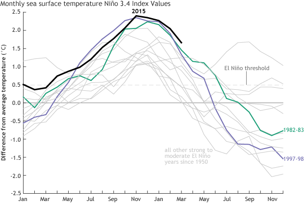 Progression of sea surface temperatures for all moderate to strong El Ninos since 1950. The 2015/16 event is in black and shows that it was warmer than any other previous event in March.