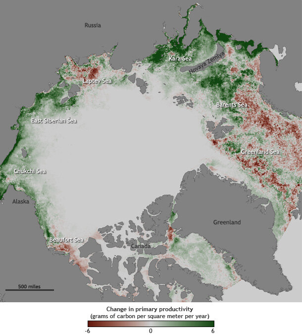 Ocean productivity map