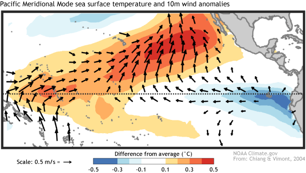 Tropical patterns map