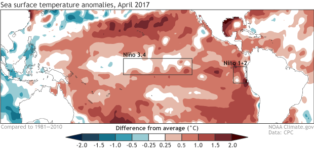 Sea surface temperature anomaly map