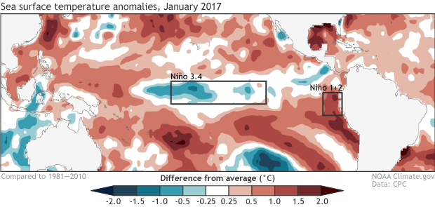 Image of average sea surface temperature during January 2017, shown as departure from the long-term (1981-2010) average