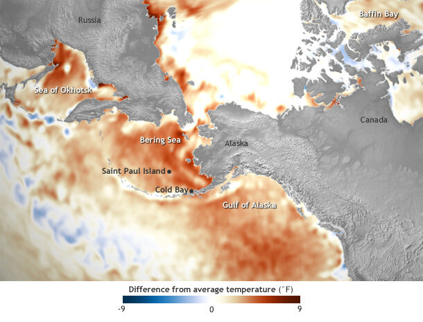 Map of the North Pacific and the Northern Hemisphere showing difference from average (1981-2010) temperature in September 2014