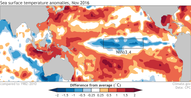 Sea surface temperature anomaly map