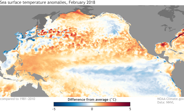 Sea surface temperature anomaly map