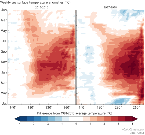 Weekly sea surface temperature anomalies