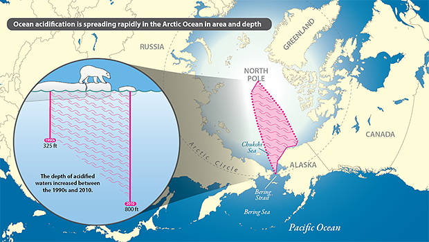 Acidification infographic