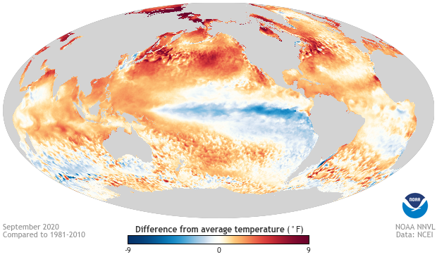 Sea surface temperature anomaly map