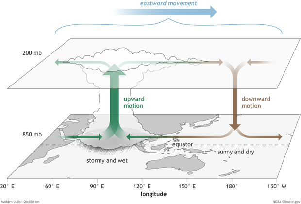 MJO diagram