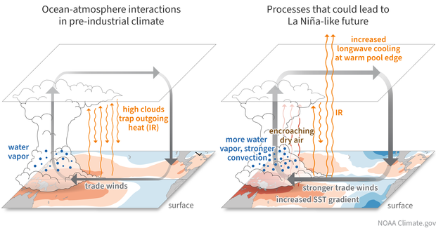 mechanism for La Nina-like trend