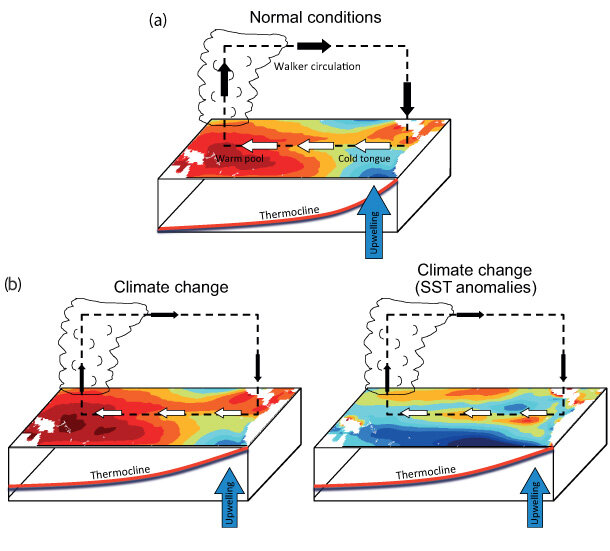 Idealized schematic of atmospheric and oceanic conditions