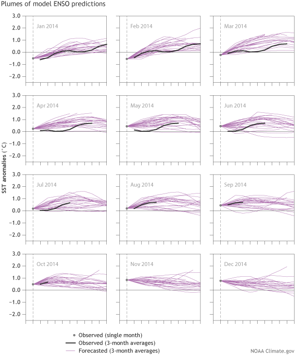 12 small "plume" graphs showing the ENSO forecast from multiple models for each month from January through December 2014