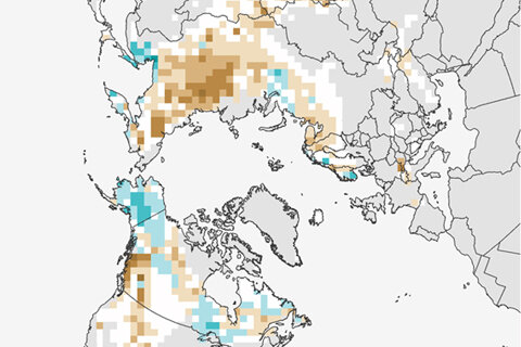 Snow extent map