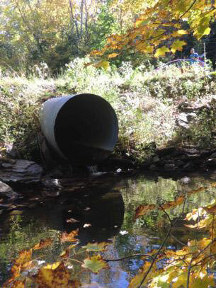 Culvert and pond