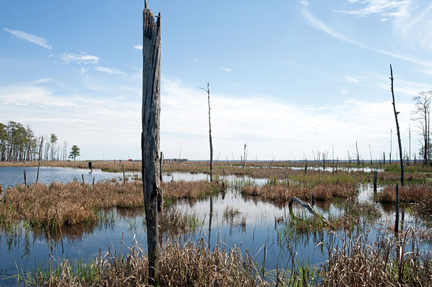 Salt water flooding