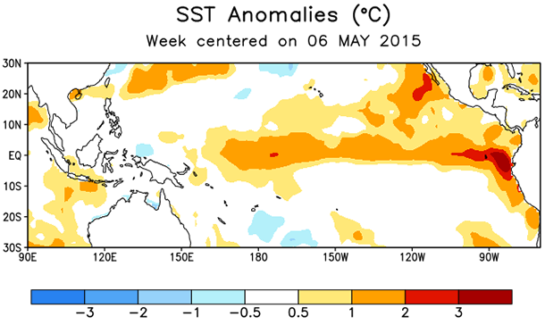 Sea surface temperature anomaly map