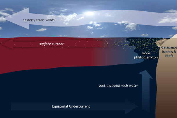 Upwelling schematic