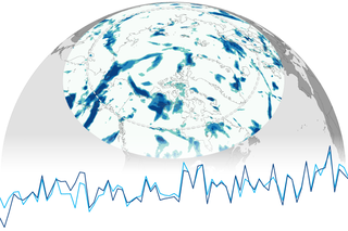 arctic report card precipitation rotator