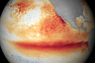 Map image for California closes Dungeness and razor clam fisheries due to algal toxin