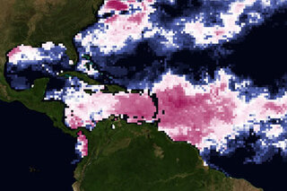 Map image for Coral Bleaching Could Be As Severe as 2005 Event