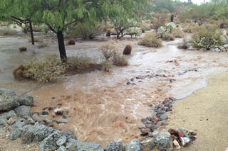 Map image for Record-breaking rain in Arizona