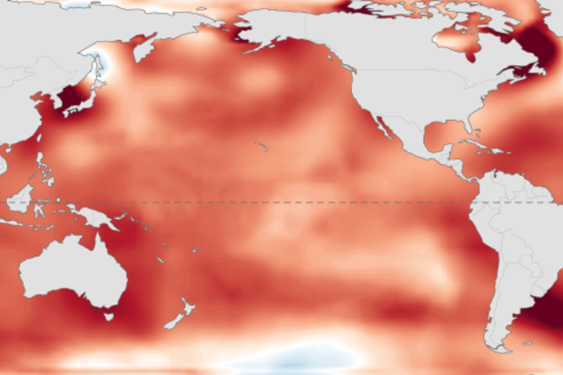 Sea surface temperature trends from 1900-2017