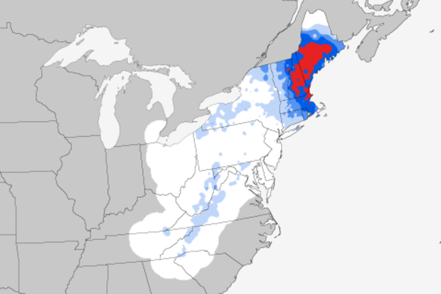 Snowfall map