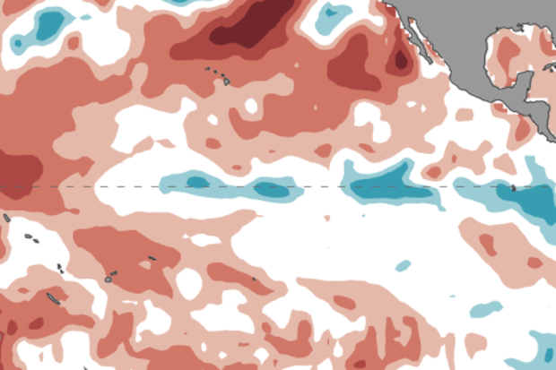 map of ocean temperature anomalies in the Pacific in August 2017