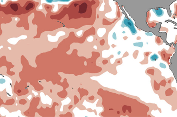 Sea surface temperature anomalies, June 2017